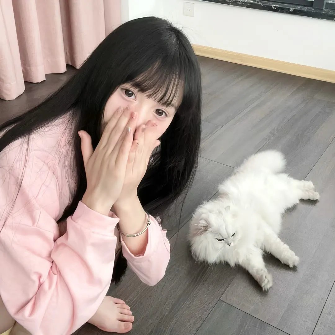 钢的琴